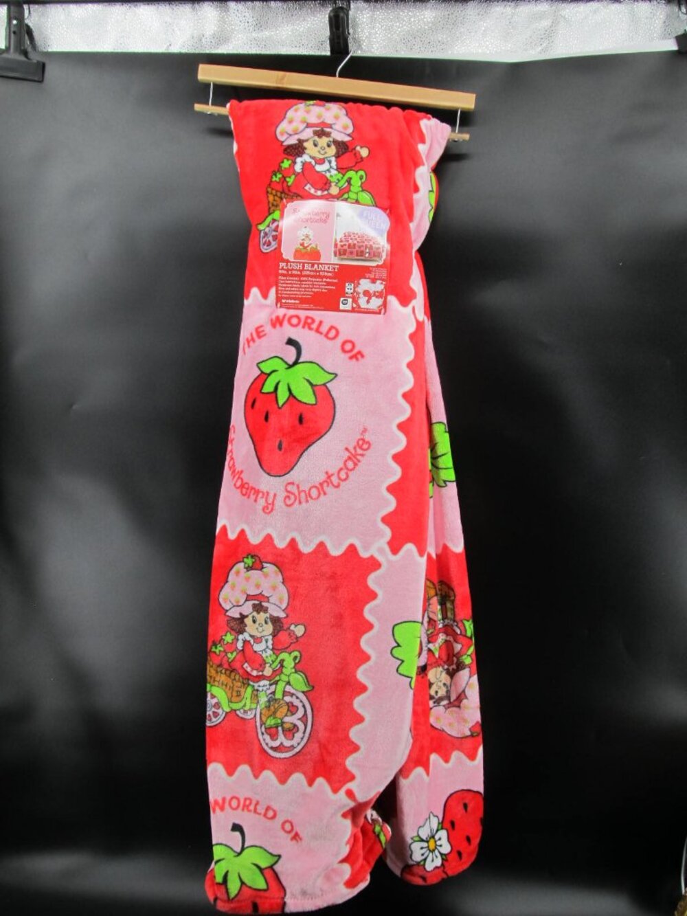 Strawberry Shortcake Plush Throw Blanket Full/Queen 90” x 90” HARD TO FIND SIZE